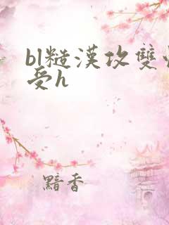 bl糙汉攻双性受h