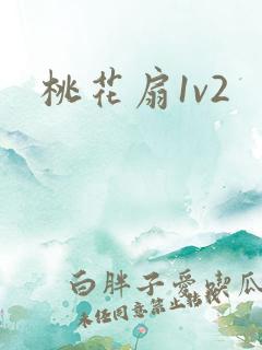 桃花扇1v2