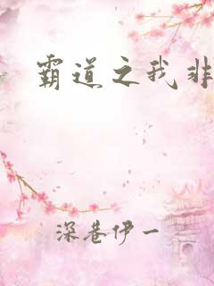 霸道之我非英雄