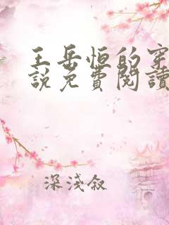 王岳恒的穿越小说免费阅读
