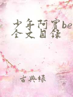 少年阿宾ben全文目录