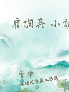 雇佣兵 小说