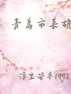 青岛市长胡学峰