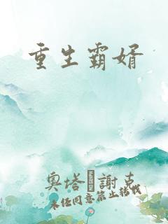 重生霸婿