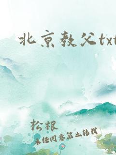 北京教父txt
