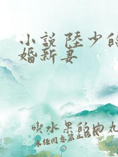 小说 陆少的暖婚新妻