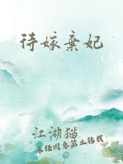 待嫁弃妃