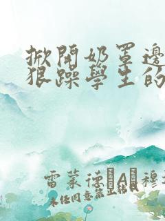掀开奶罩边躁狠狠躁学生的小文字