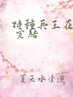 特种兵王在山村 完结