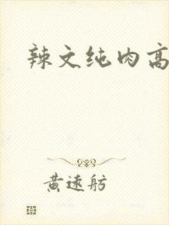辣文纯肉高np