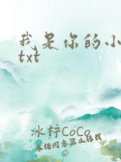 我是你的小小狗txt