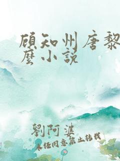 顾知州唐黎叫什么小说