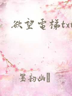 欲望电梯txt