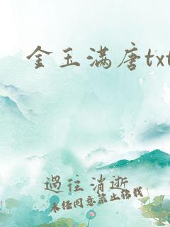 金玉满唐txt