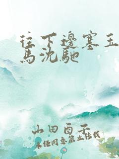 往下边塞玉器骑马沈驰
