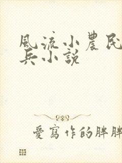 风流小农民王小兵小说