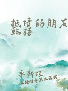 抵债的朋友麦子韩语