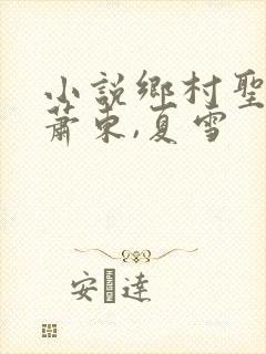小说乡村圣手,萧东,夏雪