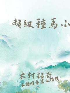 超级种马小说