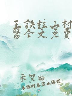王铁柱山村小神医全文免费阅读