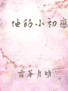他的小初恋