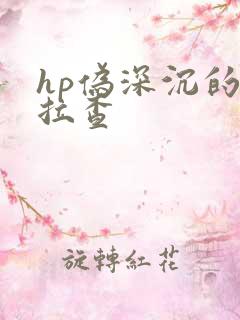 hp伪深沉的萨拉查
