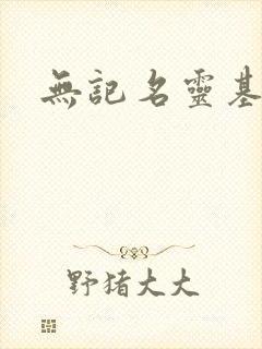 无记名灵基