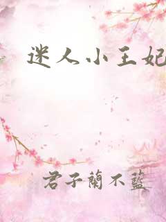 迷人小王妃