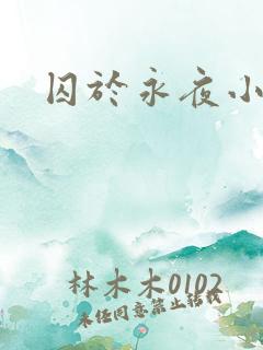 囚于永夜小说