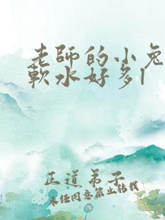 老师的小兔子好软水好多l