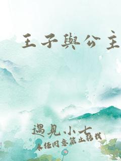 王子与公主