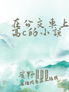 在公交车上弄到高c的小说
