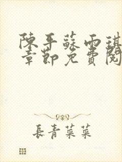 陈平苏雨琪最新章节免费阅读全文