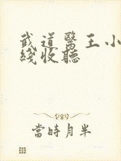 武道医王小说在线收听