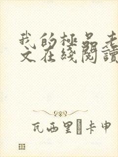 我的极品老婆全文在线阅读