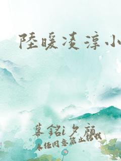 陆暖凌淳小说