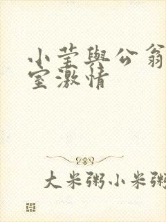 小莹与公翁办公室激情