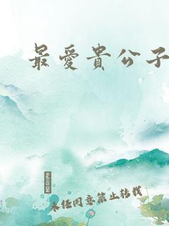 最爱贵公子