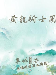 黄龙骑士团