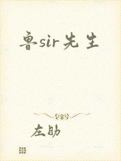 鲁sir先生
