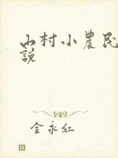 山村小农民 小说