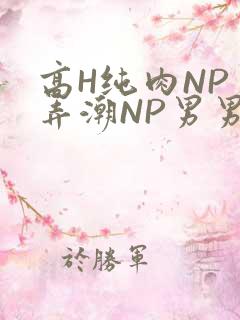 高H纯肉NP 弄潮NP男男