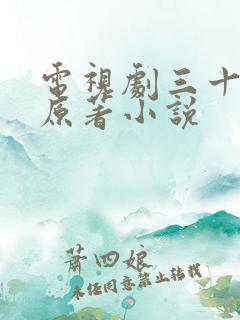 电视剧三十而已原著小说