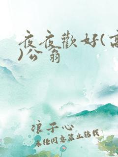 夜夜欢好(高h)公翁