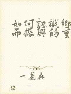 如何认识乡村全面振兴的重要性