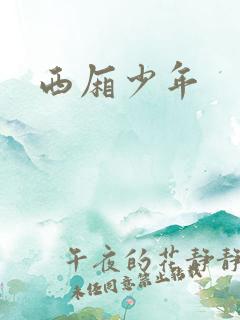 西厢少年