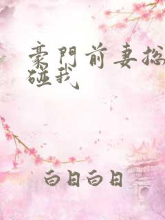 豪门前妻总裁别碰我