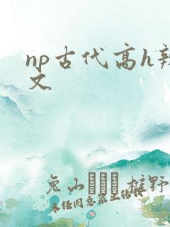 np古代高h辣文