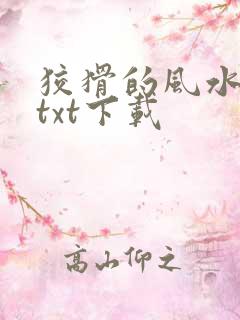 狡猾的风水相师txt下载