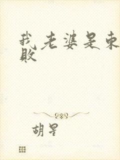 我老婆是东方不败